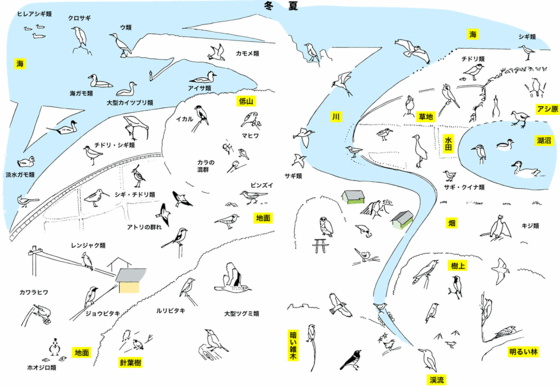 鳥のいる場所