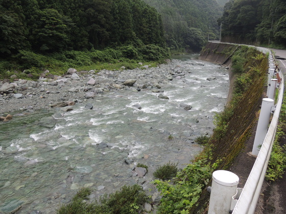 水かさの増した加茂川