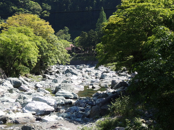 石鎚ふれあいの里（上流側の橋より）