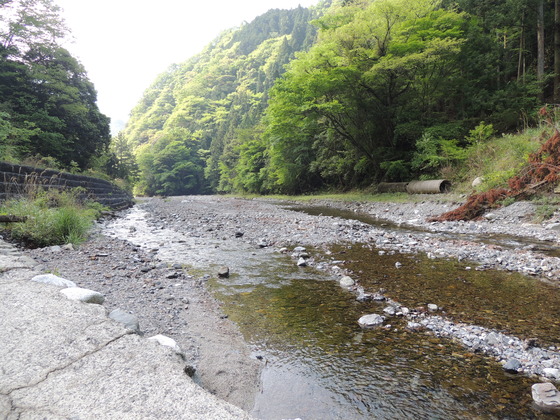 重信川支流の阿歌古川