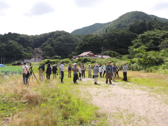 探鳥会開始早々ブッポウソウを観察！