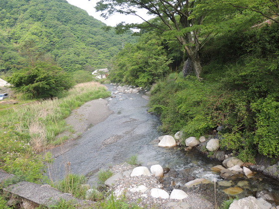 阿歌古川の流れ