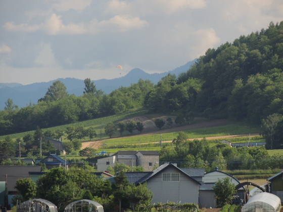 富良野の丘陵風景